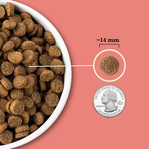 Miniatura 4 de ACANA Granos Integrales Alimento Seco para Perros Carne Roja y Granos Receta de Res, Cerdo y Cordero Bolsa de 4 lb