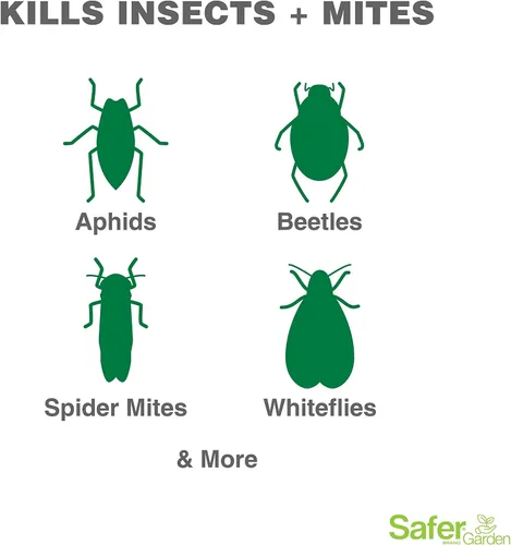 Miniatura 3 de Safer Garden 3 en 1 Fungicida, acicida e insecticida en aerosol listo para usar, espray de 24 onzas – Mata insectos y ácaros – Controla y previene