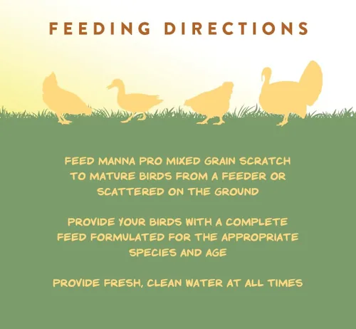 Miniatura 7 de Manna Pro Ultimate Chicken Scratch Feed, Alimento de Grano Nutritivo Rico en Nutrientes para Pollos y Aves de Corral, Mezcla Natural Multigrano