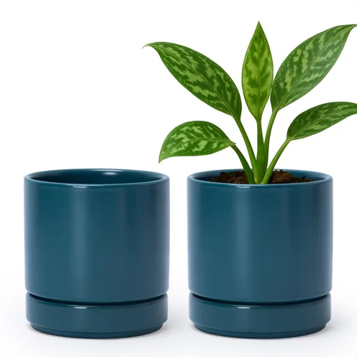 Miniatura 28 de D'vine Dev - Juego de 2 macetas de plantas de 3.5 pulgadas, maceta de cerámica para plantas con agujero de drenaje y platillo, negra, 94-V-A-2