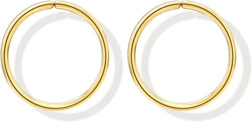 Small Gold or Sterling Silver Huggie Hoop Earrings for Women Cartilage Nose Helix Tragus