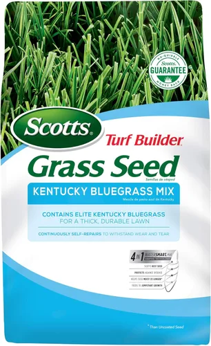 Miniatura 14 de Scotts Turf Builder Grass Seed Kentucky Bluegrass Mix - Grass Seed Plus Fertilizante para césped y mejorador de suelo, crece césped verde denso