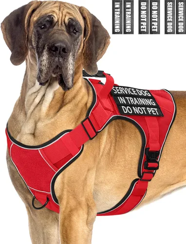 Miniatura 28 de Chaleco de perro de servicio para perros medianos, arnés de perro de servicio en entrenamiento con parches, chaleco ajustable para perros