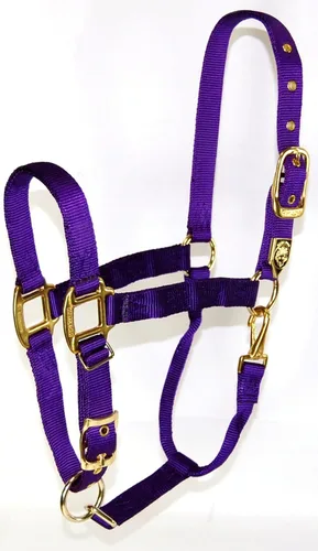 Miniatura 21 de Hamilton, Halter de 1 pulgada con barbilla ajustable, azul baya, 800-1100 libras