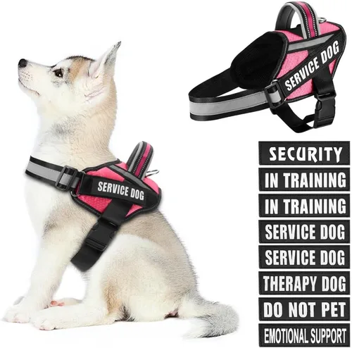 Miniatura 26 de in Training Service - Juego de arnés y parches para perro, con 10 parches para perros, chaleco reflectante con asa para perros pequeños, medianos