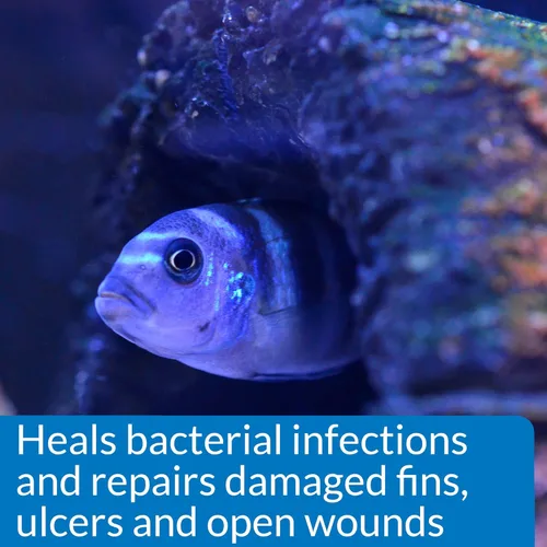 Miniatura 4 de API MELAFIX - Remedio para infecciones bacterianas de peces de agua dulce, botella de 4 onzas