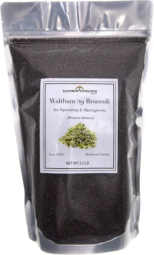 Semillas de brócoli para germinado y microverdes | Variedad Waltham 29 | Semillas sin OMG y de legado | Bolsa resellable de 1.13 kg (40 oz) al por