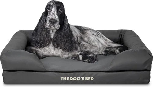 The Dog's Bed - Cama ortopédica de espuma viscoelástica para perros medianos, colchón de soporte de alta densidad, entrada frontal baja, funda negro