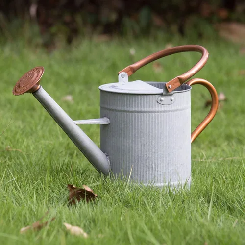 Recipiente para regar plantas de interior y exterior, galvanizada, estilo moderno con asa y rosetón zinc