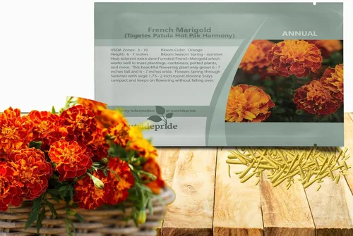 Miniatura 10 de Outsidepride Tagetes Patula Durango Bee French Marigold Garden Flower Seed - 250 Semillas Abeja francesa