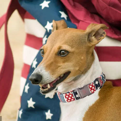 Miniatura 4 de Elegant little tail - Collar ajustable para perros, suave y duradero, diseño patriótico de día festivo, Día de la Independencia, regalo para perro