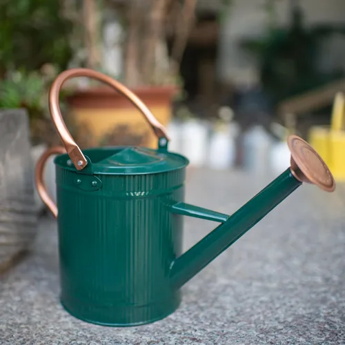 Miniatura 3 de Regadera de 1 galón, regadera de plantas, regadera de metal con boquilla extraíble, jarra de riego galvanizada, bonita lata de agua verde para uso