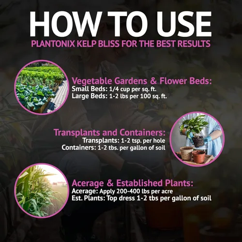 Miniatura 8 de Kelp Bliss (10 libras) + Char Bliss (8 cuartos de galón) – Fertilizante orgánico de harina de algas y biocarbón orgánico para plantas – Carbón