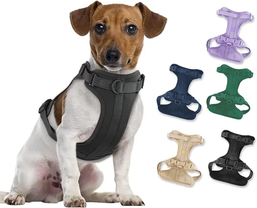 Miniatura 38 de Arnés ligero para perro sin tirones: arnés ajustable y duradero de malla transpirable con cojín suave y cómodo, para perros pequeños, medianos y Lila