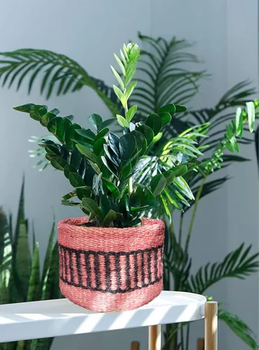 Cesta de Maceta de Yute Resistente, Cesta Tejida Moderna, Maceta para Flores, Maceteros de Interior para Suelo, Cesta Organizadora de Almacenamiento