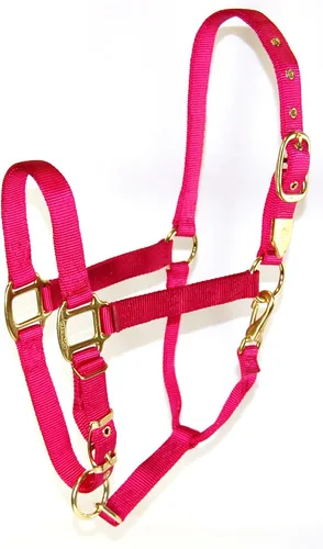 Miniatura 22 de Hamilton, Halter de 1 pulgada con barbilla ajustable, azul baya, 800-1100 libras