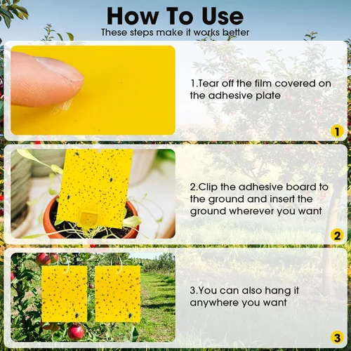 Miniatura 5 de Qualirey 200 trampas adhesivas amarillas de 7.87 x 9.84 pulgadas para mosquitos de plantas, trampas adhesivas de doble cara para moscas de la fruta