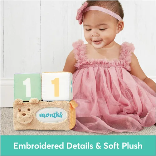 Miniatura 6 de Baby GUND Milestones and Moments Bloques suaves, accesorios de fotos de felpa para bebés y recién nacidos, multicolor
