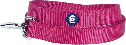 Miniatura 14 de Blueberry Pet Essentials - Correa de perro azul cambray para perros medianos - 5' * 3/4" Correa de nailon resistente Correa ligera