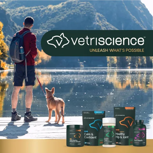 Miniatura 10 de VetriScience Polvo de cuidado dental para perros y gatos: ayuda a reducir la acumulación de placa y sarro, limpiar los dientes y un aliento más