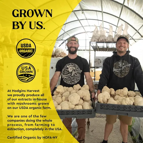 Miniatura 2 de Hodgins Harvest Melena de león orgánica + tintura de reishi Fabricado con hongos cultivados en nuestra granja en los Estados Unidos Extracto
