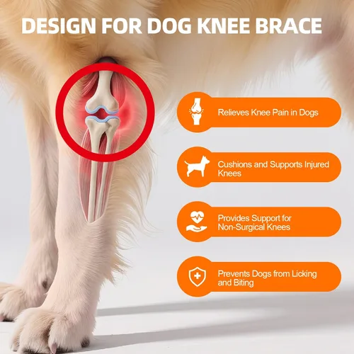 Miniatura 2 de Rodillera para perro para pierna trasera desgarrada del ACL, soporte ajustable para cadera de perro para pierna trasera con estabilizadores