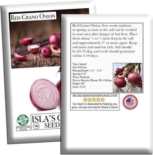 Miniatura 7 de Semillas de cebolla roja de Grano (Allium cepa) – Más de 300 semillas de reliquia sin OMG de Isla's Garden Seeds, bulbos rojos suaves y dulces