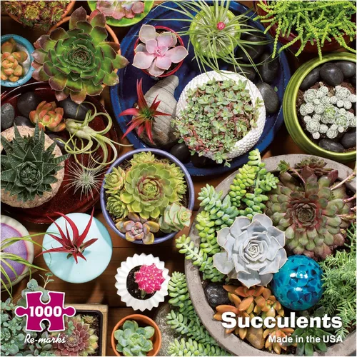 Miniatura 8 de Re-marks Succulents - Rompecabezas de 500 piezas con piezas grandes para todas las edades