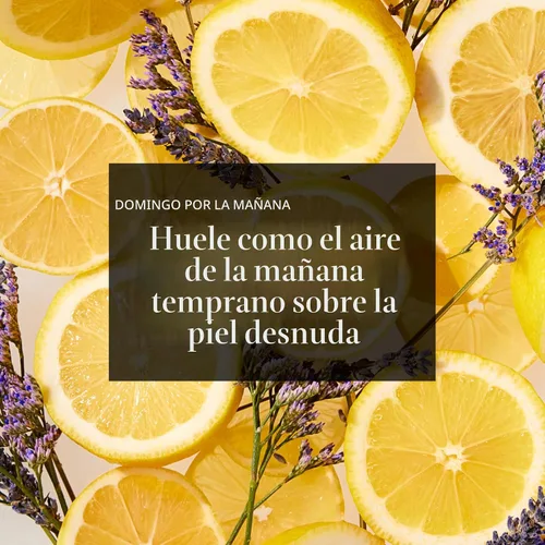Miniatura 4 de Each & Every - Desodorante natural de 2.5 onzas para hombres y mujeres, no tóxico, sin aluminio, sin bicarbonato, sin parabenos, vegano, sin