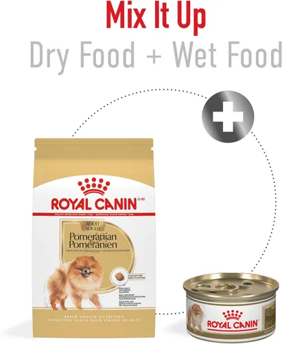 Miniatura 3 de Royal Canin Breed Health Nutrition Pomeranian - Alimento seco para perros adultos, bolsa de 10 libras