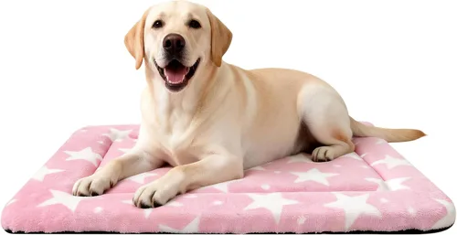 Miniatura 43 de Alfombrilla para Cama de Perro – Almohadilla de Perrera Suave y Cómoda para Jaula – Cama y Almohadilla Duradera para Perros y Gatos – Ideal para Gris