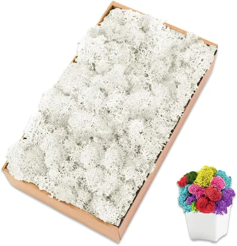 Musgo preservado para manualidades, musgo de reno verde para plantas en maceta, decoración de musgo decorativo para arte de pared, musgo seco (7