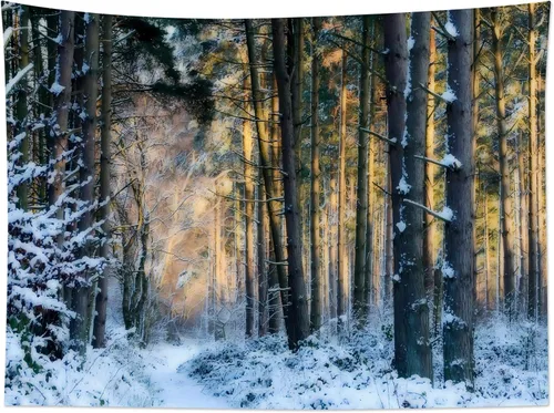 Miniatura 5 de LB Tapiz de Bosque de Nieve de Invierno, Pino Negro y Verde con Copo de Nieve Blanco Tapiz de Pared para Dormitorio, Arte de Pared de Paisaje