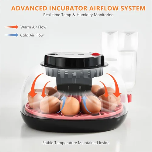 Miniatura 6 de Incubadoras para incubar huevos - Capacidad de 12 huevos, incubadora de huevos con giro automático de huevos y control de temperatura, incubadora