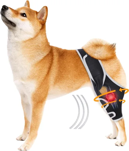 Rodillera para perro para recuperación de lesiones de Acl, ajustable, proporciona un apoyo estable para la tensión de los ligamentos y el dolor en