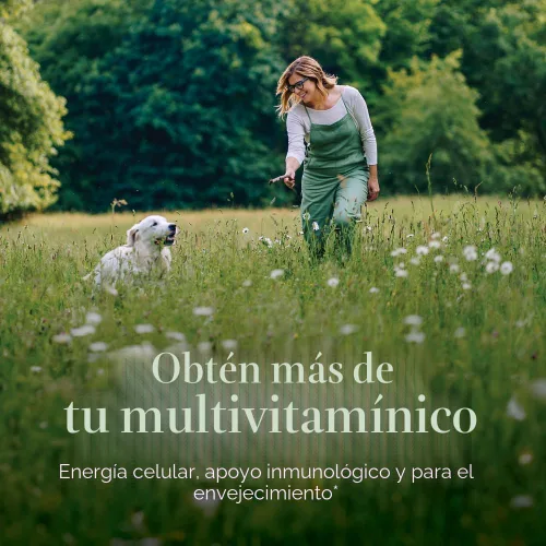 Miniatura 2 de Comprimidos multivitamínicos para mujeres de 40 años en adelante New Chapter, una al día, ANC-198, 1, 1