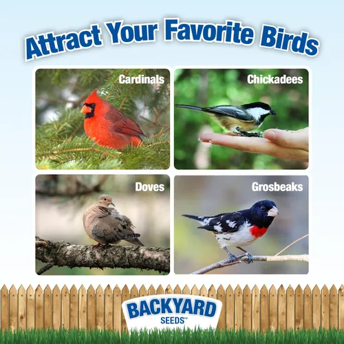 Miniatura 3 de Backyard Seeds - Semillas para pájaros de alta calidad, 40 libras, mezcla suprema de alimentos para pájaros silvestres para comederos exteriores
