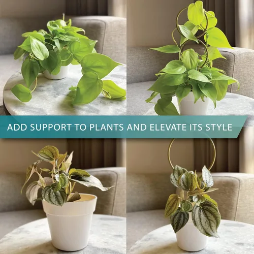 Miniatura 3 de Pequeño enrejado de metal para plantas de interior, estacas de metal para plantas trepadoras, soporte para plantas en maceta, orquídeas, Monstera