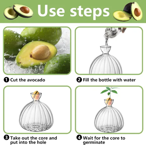 Miniatura 3 de Jarrón de inicio de semillas de aguacate, contenedor de vidrio grueso para brotes de semillas de aguacate, kit de cultivo de árboles de aguacate