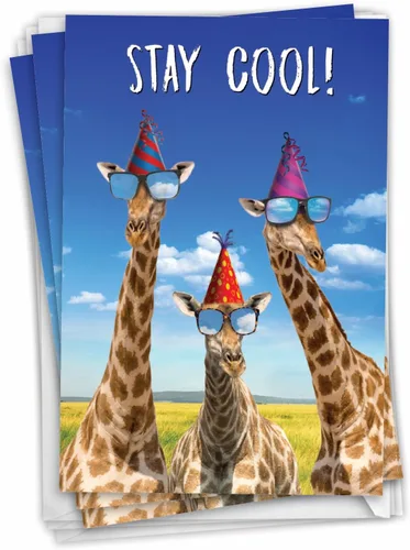 Miniatura 15 de NobleWorks Paquete de 3 divertidas tarjetas de felicitación de cumpleaños con sobres (1 diseño, 3 cada uno) comedero vacío para pájaros C2561BDG-C3x1