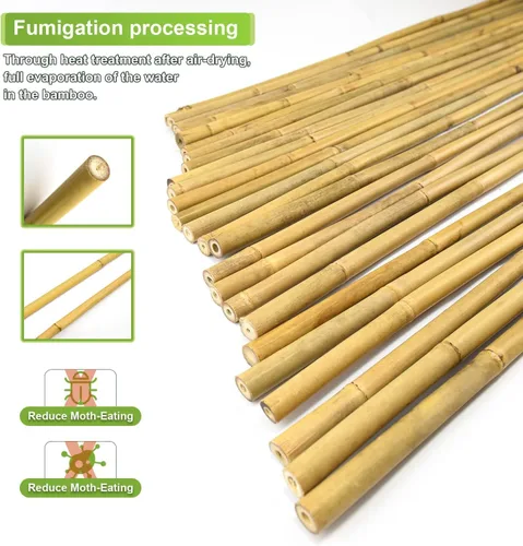 Miniatura 3 de Jollybower 30 piezas de estacas de bambú de 3/10" D más gruesas y resistentes de 2 pies, estacas naturales de jardín para tomate, frijol, flores