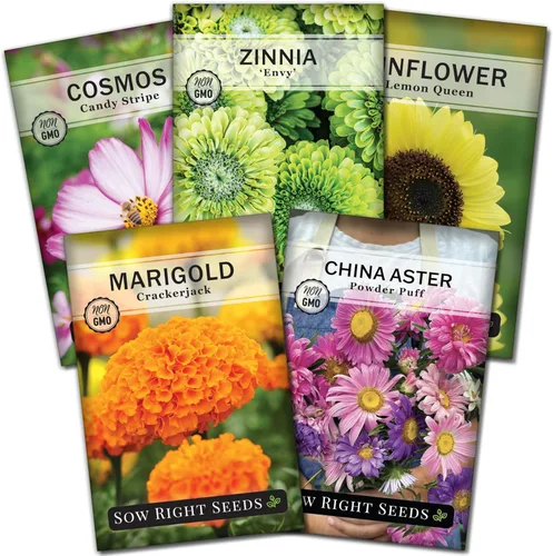 Sow Right Seeds - Colección anual de jardín de semillas de flores para plantar - 5 paquetes que incluyen caléndula, zinnia, áster de China, girasol
