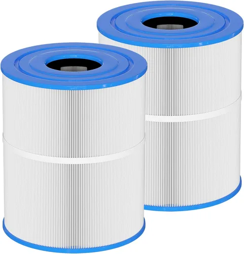 C-8465 Filtro de spa de repuesto Compatible con Watkins 31114, Pleatco PWK65, Filbur FC-3960, 71827, 71828, Watkins 65 pies cuadrados Filtro de spa