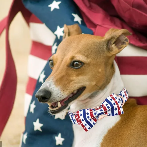 Miniatura 5 de Elegant little tail Independence - Collar patriótico para mascotas con pajarita para mascotas del 4 de julio de algodón suave para mascotas