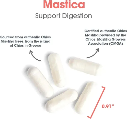 Miniatura 5 de Allergy Research Group ARG Mastica Soporte digestivo – Apoya la comodidad digestiva – Ofrece 1000 mg de resina de goma de masilla Chios por porción