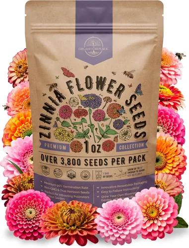 Miniatura 24 de Paquete de Semillas de Mezcla de Girasol 4 oz - Más de 5,100 Semillas de Girasol Reliquia No-GMO para Plantar, Flores Anuales en Paquete de Semillas