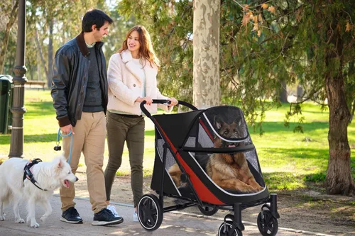 Miniatura 5 de Cochecito grande para perros de 4 ruedas para perros medianos o 2 perros, plegable con un solo clic, malla transpirable grande y techo solar