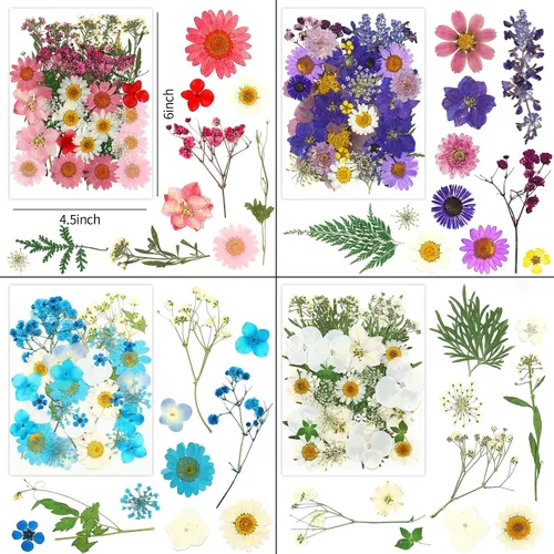 Miniatura 2 de Más de 170 pétalos de hojas de flores secas prensadas para manualidades, hermosas flores prensadas margaritas para joyas de resina, flores Color-a