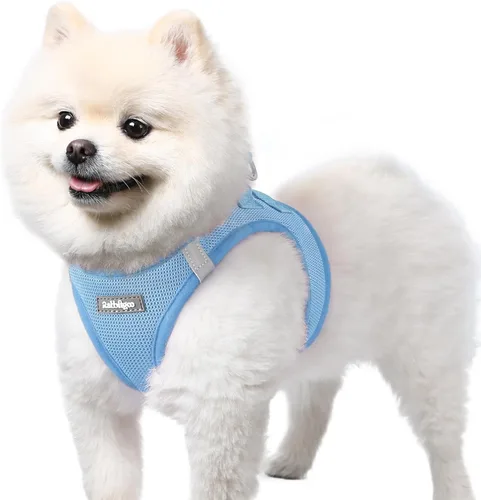 Miniatura 43 de rabbitgoo Arnés para perro pequeño, chaleco de malla suave para cachorros con hebilla de seguridad, arnés reflectante transpirable para mascotas