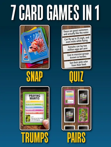 Miniatura 4 de SMART CARDS Animales Juego de cartas 7 juegos en 1 Snap, Rummy, pares y más Juego educativo de viaje A partir de 5 años, 1-8 jugadores